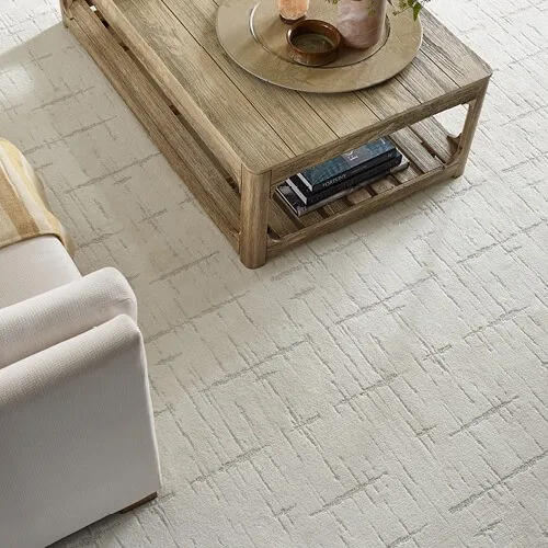 Rustique-Vibe-CCS72-00100-LivingRoom-Detail1-V_500x500 Smooth carpet | Blackhurst Carpets